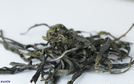 邦东那罕古树茶：品种特点、产区环境、 *** 工艺及品鉴 *** 全面解析