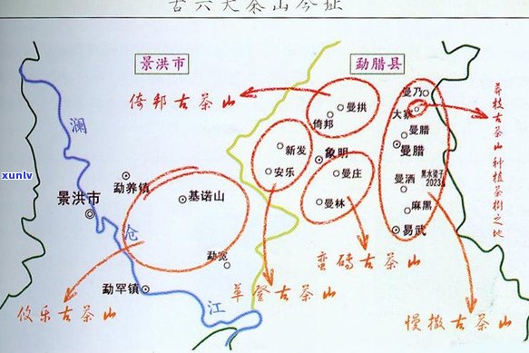 邦东那罕古树茶：品种特点、产区环境、 *** 工艺及品鉴 *** 全面解析