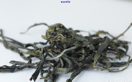 邦东那罕古树茶：品种特点、产区环境、 *** 工艺及品鉴 *** 全面解析