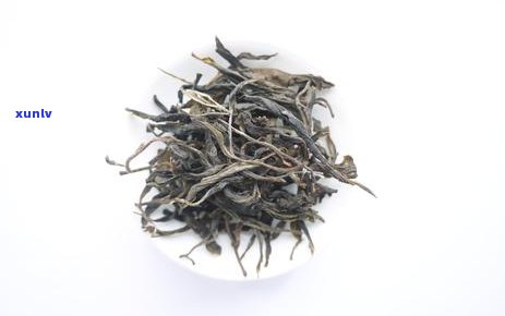 邦东独特古茶树：探寻真正的茶叶奥秘