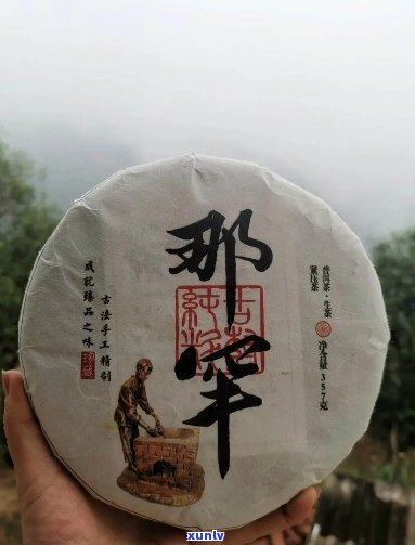 邦东那罕古树普洱茶