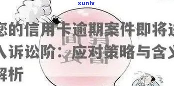 全面理解与应对：民事诉讼法下的信用卡逾期问题解析及相关建议