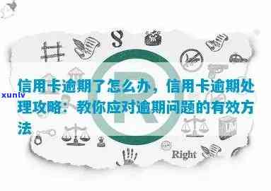 信用卡逾期解决方案：具体步骤与实用技巧详解