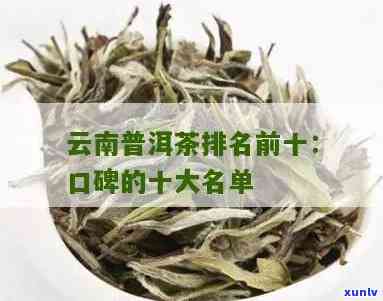 云南十大普洱茶排行榜：全面解读优质普洱茶品种、产地、口感和购买指南