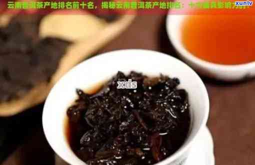 云南十大普洱茶排行榜：全面解读优质普洱茶品种、产地、口感和购买指南