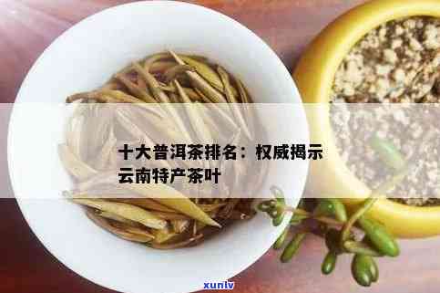 云南十大普洱茶排行榜：全面解读优质普洱茶品种、产地、口感和购买指南