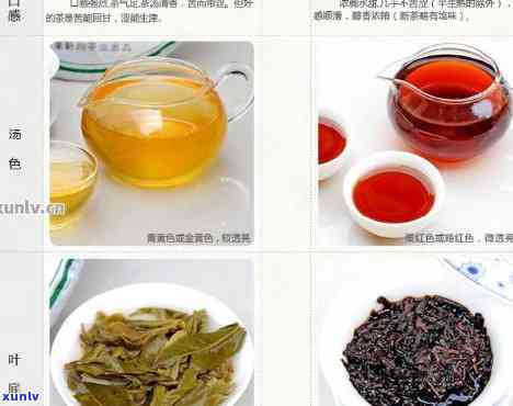 云南十大普洱茶排行榜：全面解读优质普洱茶品种、产地、口感和购买指南