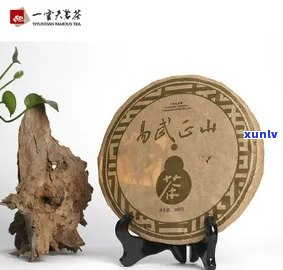 普洱茶云天一叶