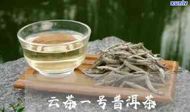 普洱茶云天一叶