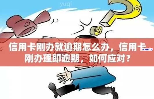 逾期信用卡申请是否可行？如何解决信用问题并成功申请信用卡？