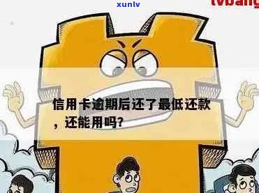 逾期信用卡还款后能否继续使用？刷信用卡的限制与规定解析