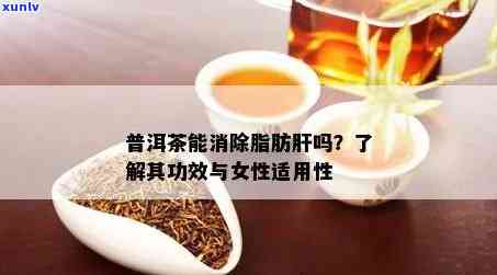 普洱茶：一款有效对抗脂肪肝的超级饮品