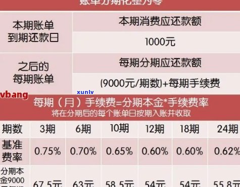 信用卡逾期利息减免：建行信用卡用户必看，如何降低逾期还款成本？