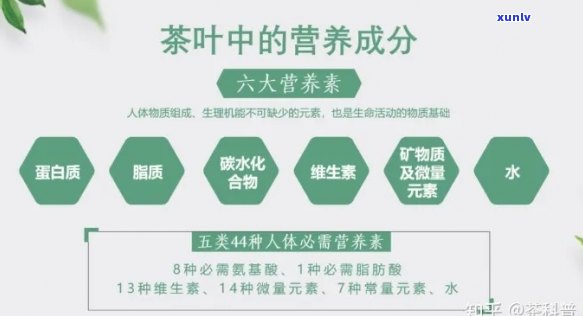 普洱茶中木质素与纤维素含量的营养价值研究