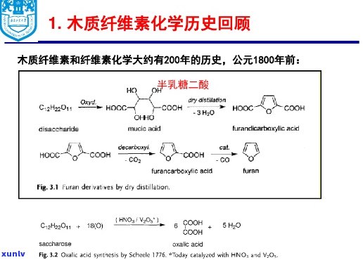 普洱茶木质素纤维素