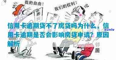 信用卡逾期不影响贷款购房吗？完整解答与建议