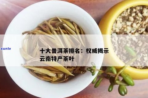 云南特色茶叶Top10:大益普洱茶荣登榜首，你绝对不能错过！