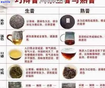 普洱茶十大名牌排名：全方位指南助您挑选优质茶叶