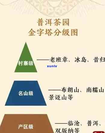 普洱茶等级划分：一、二级茶叶的品质与口感对比