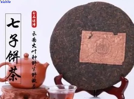 七子级普洱茶怎么样？价格是多少？什么意思？是熟茶吗？