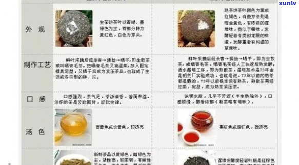 羽茶经普洱茶全解析：品鉴、冲泡、功效与购买指南