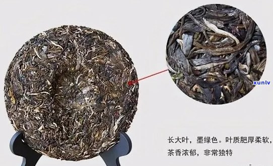 普洱茶饼挑选技巧：如何选购优质普洱茶？