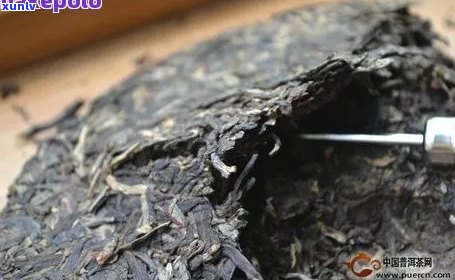 普洱茶饼挑选技巧：如何选购优质普洱茶？