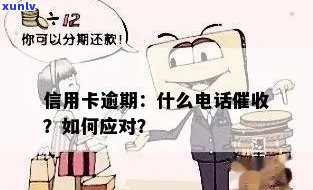 逾期信用卡还款遭遇公安，如何应对 *** 困扰？