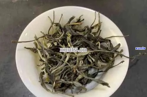 普洱茶芽尖好吗？与叶的区别是什么？