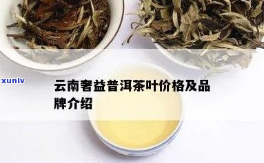 云南帝益普洱茶价格大全：深入了解各类产品的价格及购买指南