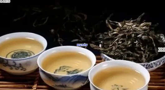 普洱茶的适宜与禁忌人群：了解哪些人不适合饮用普洱茶以避免潜在风险