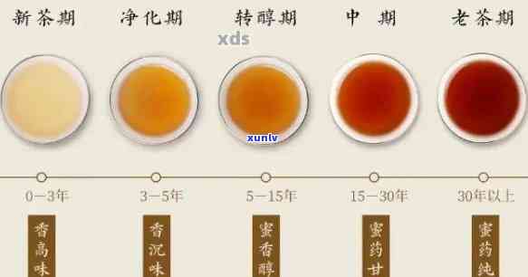 十五年后的普洱茶：时间的陈化与品味的转变