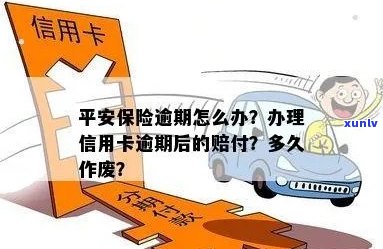 信用卡逾期后，财产保险能否提供赔偿？理赔流程与条件解析