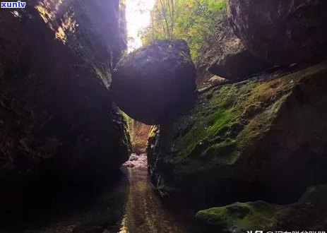 揭秘西双版纳翡翠旅游：如何避免购物陷阱，享受纯正的旅行体验