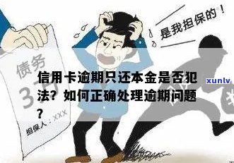 信用卡逾期还款攻略：如何申请期还本金并避免罚息？