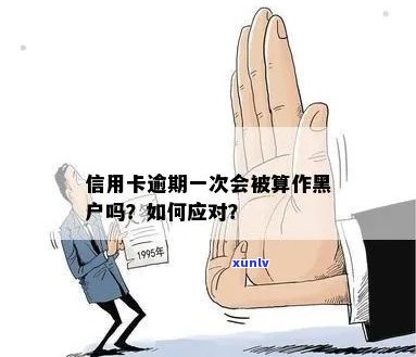 信用卡逾期是否会导致个人信用记录受损？如何避免成为黑户？