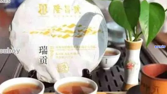 云南瑞聘号普洱茶：探索典藏珍品，品味茶业风华官网