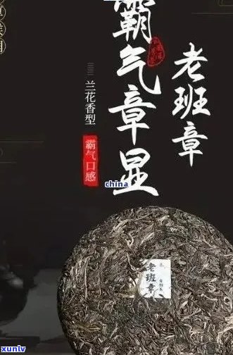 老班章普洱茶口感特点解析：新班章品质如何？