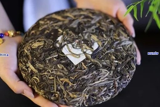 老班章普洱茶口感特点解析：新班章品质如何？