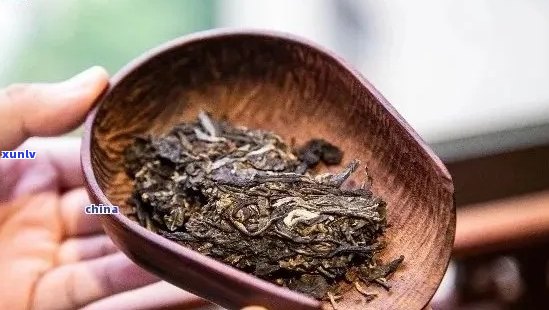 老普洱茶的 *** 秘诀：如何做出好喝又简单的老普洱茶