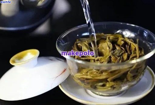 掌握这些技巧，让你的普洱茶冲泡更美味