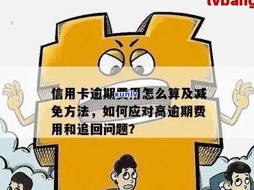 信用卡违约金退还政策详解：如何减少费用并合法追回款项