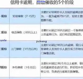 老鼠的玉翡翠：从发现到鉴定，了解这一珍贵宝石的完整故事