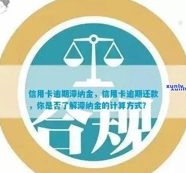 信用卡逾期次月还款利息计算与合适金额