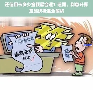 老鼠的玉翡翠：从发现到鉴定，了解这一珍贵宝石的完整故事