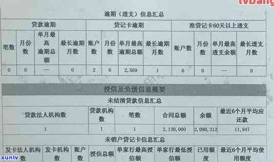 了解信用报告逾期状况的文件编写指南与模板