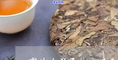 普洱茶那类人不适合