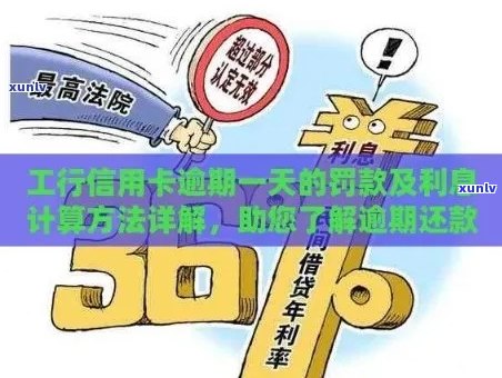 信用卡逾期罚息与逾期利息解决方案：全面了解信用还款相关问题