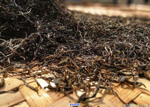 探索下关普洱茶高端茶品：哪几款值得收藏？