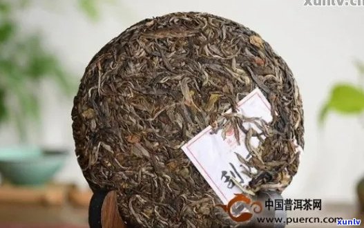 探索下关普洱茶高端茶品：哪几款值得收藏？